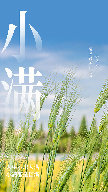 小满节气小满微信麦田小满图片