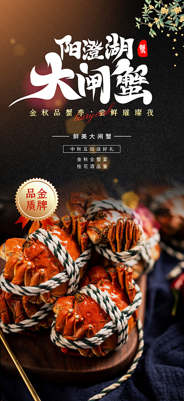 大闸蟹海鲜大闸蟹团购大闸蟹广告