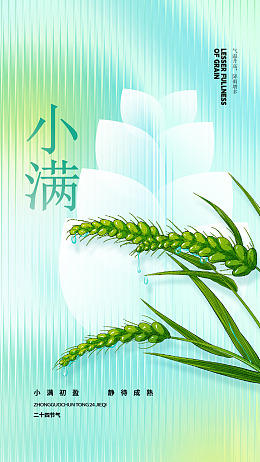 地产微信小满灯片小满海报
