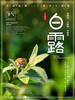 白露微信白露白露宣传白露x架
