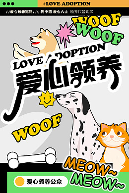 宠物摄影宠物医院宠物宠物猫