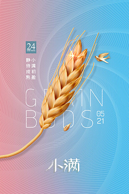 海报设计二十四节气小满宣传