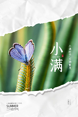 小满单图小满推广广告设计小满广告