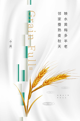地产节气地产小满小满海报小满广告