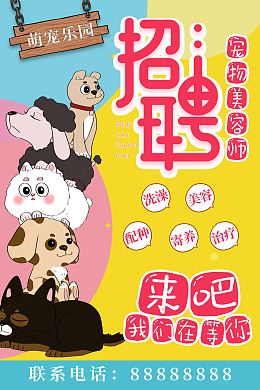 宠物摄影宠物医疗宠物店宠物用品