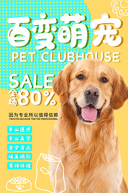 宠物洗澡宠物宠物医院宠物美容