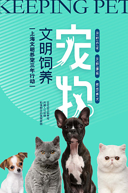 宠物爱心领养宠物海报宠物猫