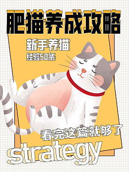 宠物护理流浪动物宠物摄影宠物交易