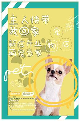 宠物狗宠物护理宠物摄影宠物广告
