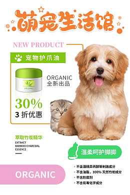 宠物海报宠物医生宠物狗宠物摄影
