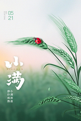 小满推广设计小满朋友圈小满单图