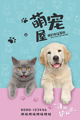 动物医院宠物广告宠物交易宠物猫