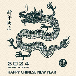 中国龙龙年生肖龙