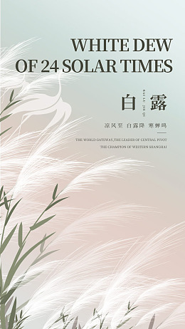 海报设计白露展板白露单张白露微信
