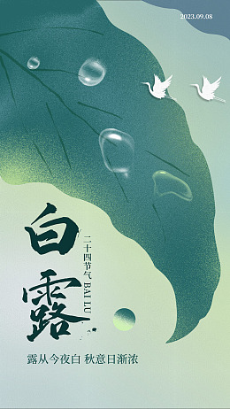白露展板寒露微信白露主题露珠