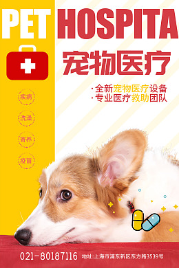 宠物医疗宠物医生宠物护理流浪动物