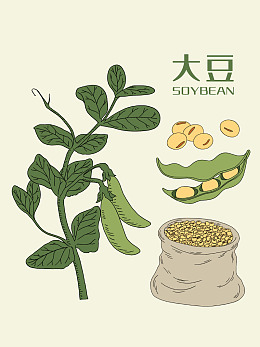 豆子黄豆大豆大豆素材