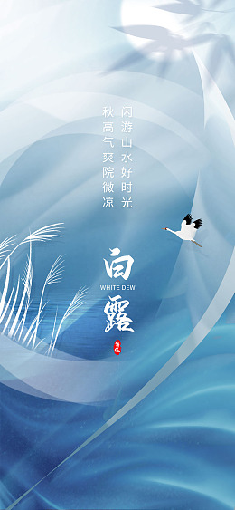 白露为霜白露展架白露节气二十四节气
