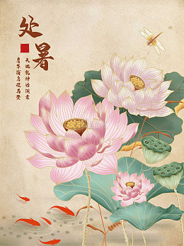 处暑荷香蜻蜓轻驻