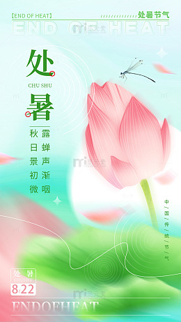 处暑微凉荷蜻共舞