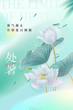 处暑轻绘蜻蜓舞荷间