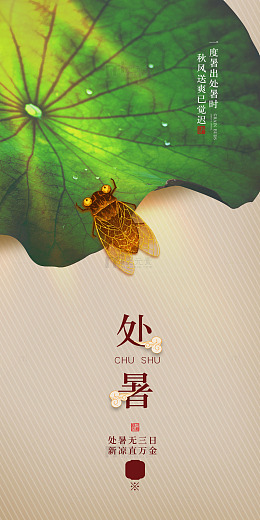 处暑新凉荷叶间的秋意初现