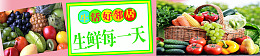 水果蔬菜绿色健康