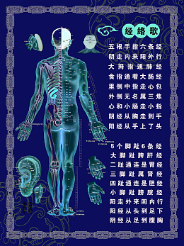 海报设计海报经络图中医