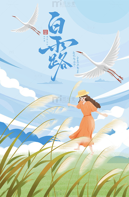 秋天的白露芦苇