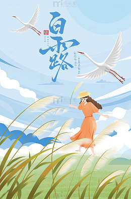 秋天的白露芦苇