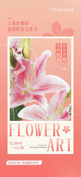 设计定制鲜花鲜花批发郁金香