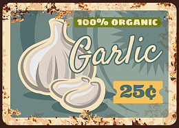 天然蔬菜蒜头海报蔬菜创意蔬菜饮食