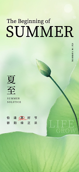 夏至kt板夏至素材