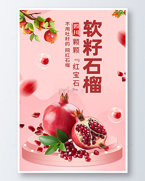 简约软籽石榴海报