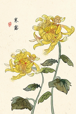 寒露宣传中式寒露秋分寒露朋友圈