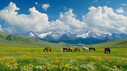 草原上的马群与远处的雪山