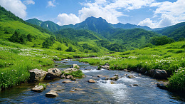 宁静山谷中的清澈小溪