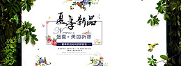 手绘花朵美丽心愿夏季夏天
