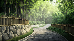 竹林与石墙环绕的蜿蜒园林小路自然风景壁纸