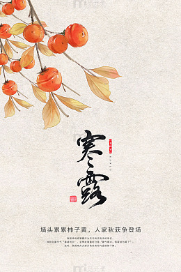 寒露硕果墙头柿子黄
