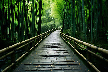 幽深竹林小路