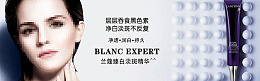 兰蔻源文件灯箱