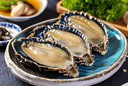 一盘海鲜鲍鱼