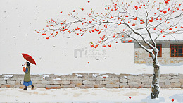 中国乡村新年春节雪景