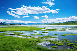 湿地草地自然美景