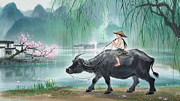 清明节牧童水牛背景图