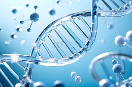 DNA分子科学探索