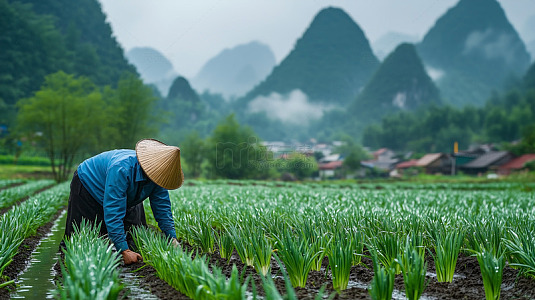 葱田农田种植业