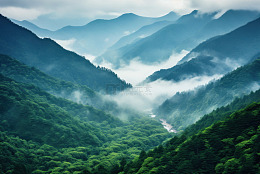 茂盛的山脉森林