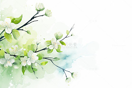 水墨梨花树枝自然背景